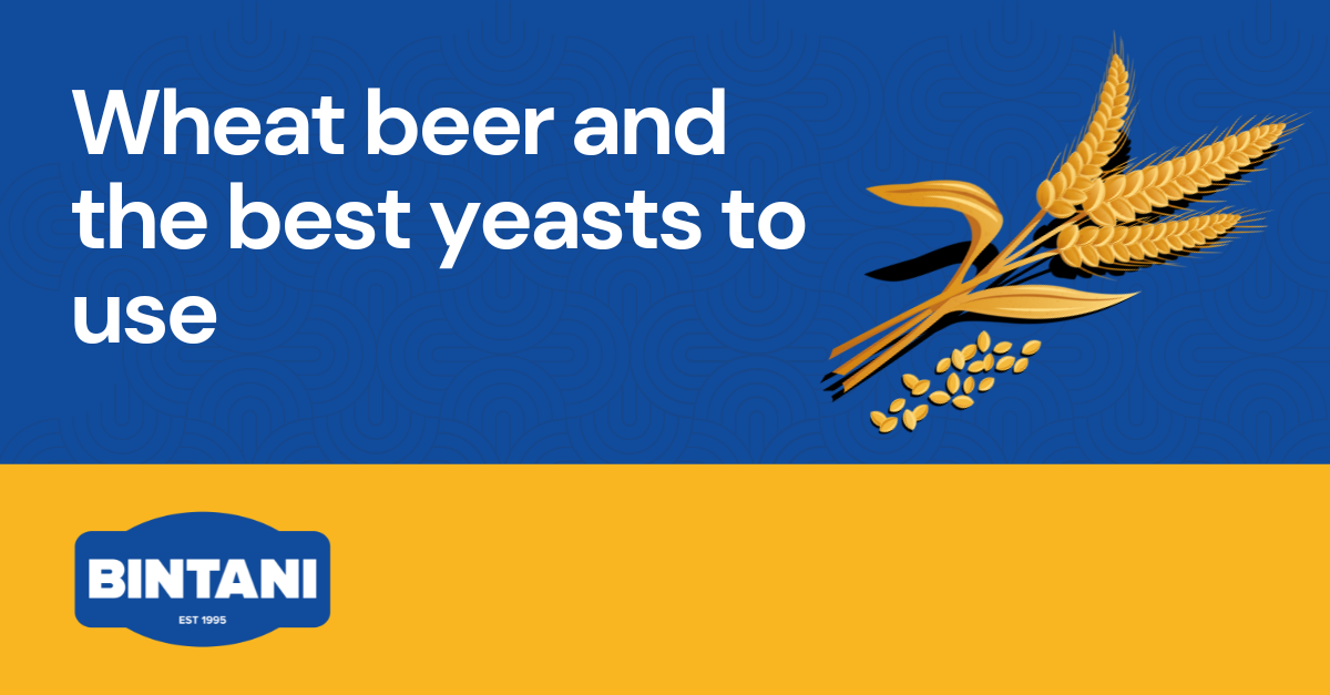 Wheat Beer And The Best Yeasts To Use